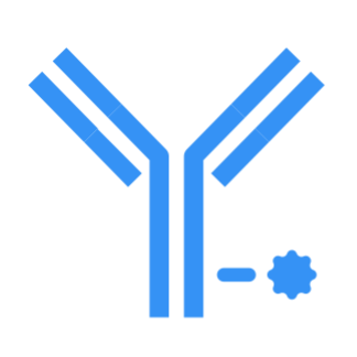 A representation antibody (also known as an immunoglobulin) interacting with an antigen